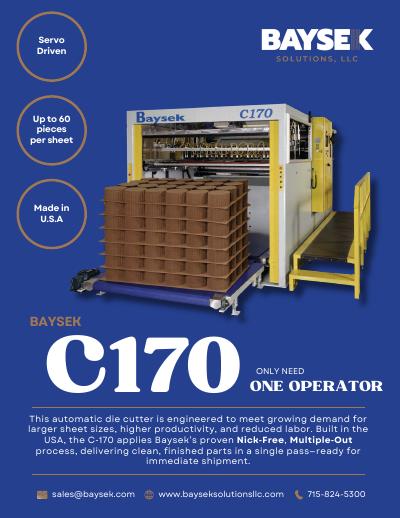 Baysek C-170 product flyer 2026 (English) preview